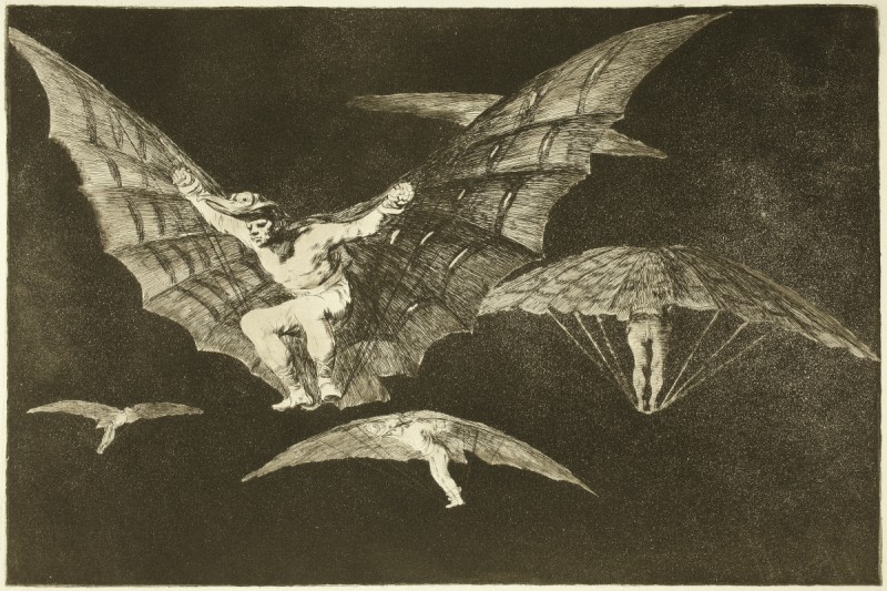 Goya, a way of flying