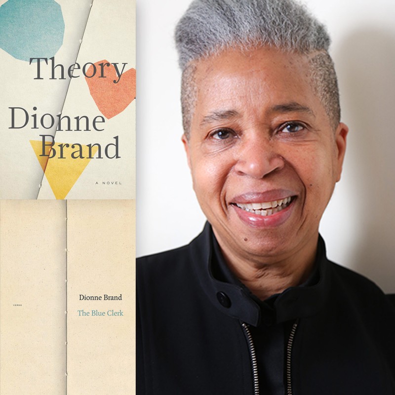author dionne brand and book covers