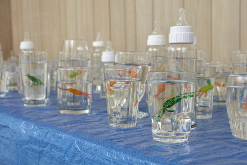 Several glasses and bottles of water on a blue table