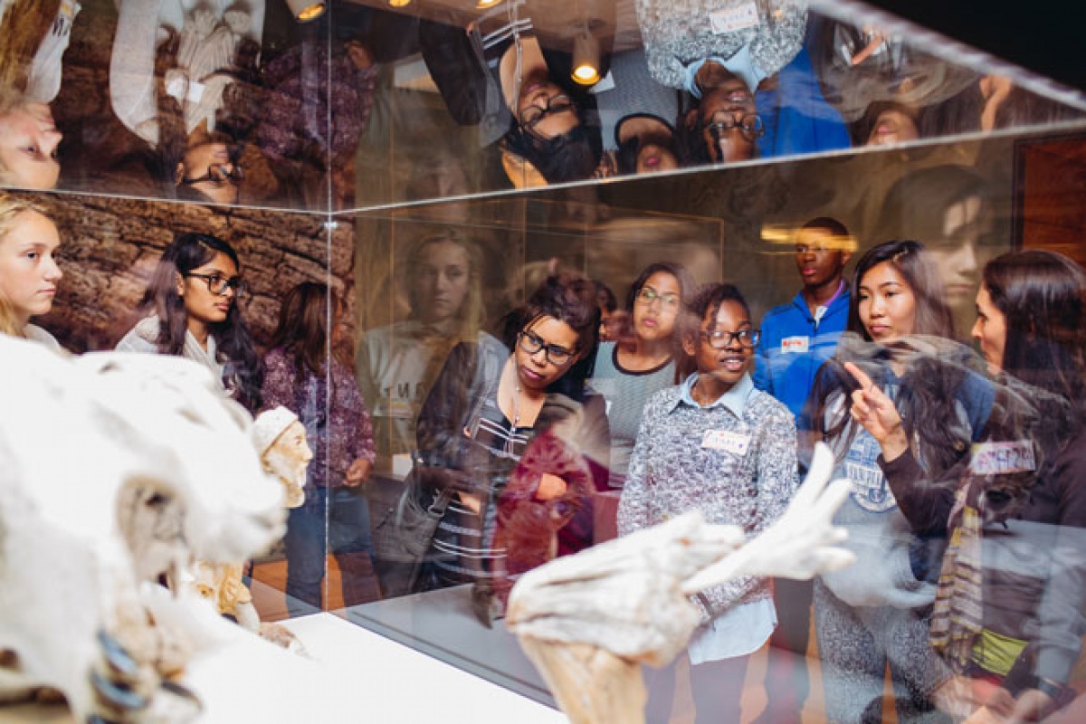a group of spectators look into a glass case where a piece of art is held