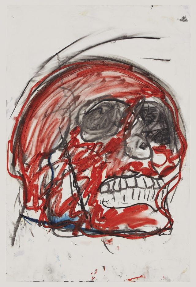 A rough sketch of a skull