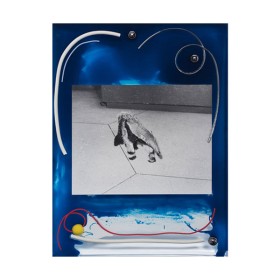 Untitled( Anteater) , Artwork by Elad Lassry