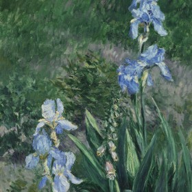 Gustave Caillebotte, Blue Irises, Garden at Petit Gennevilliers