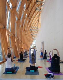 a group of people performing a yoga pose, seated with their arms reaching overhead