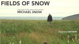Still from the film Fields of Snow, featuring artist Michael Snow standing in a green field beside the ocean. 