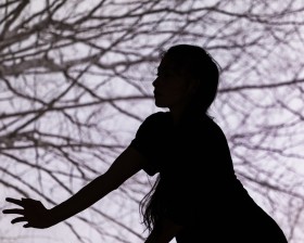 A silhouette of a woman in front of thin, bare tree branches