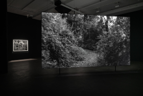 Black and White installation shot of film projection in gallery