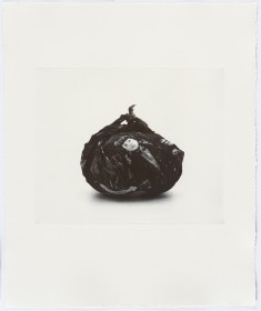 Image of a print by an artist