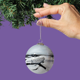 david blackwood ornament