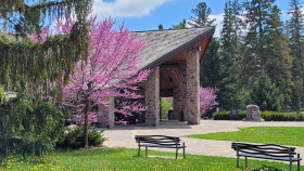 Outdoor space with flowering bushes, trees and a gallery building.