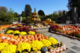 An outside garden with autumn flowers and pumpkins around a fountain