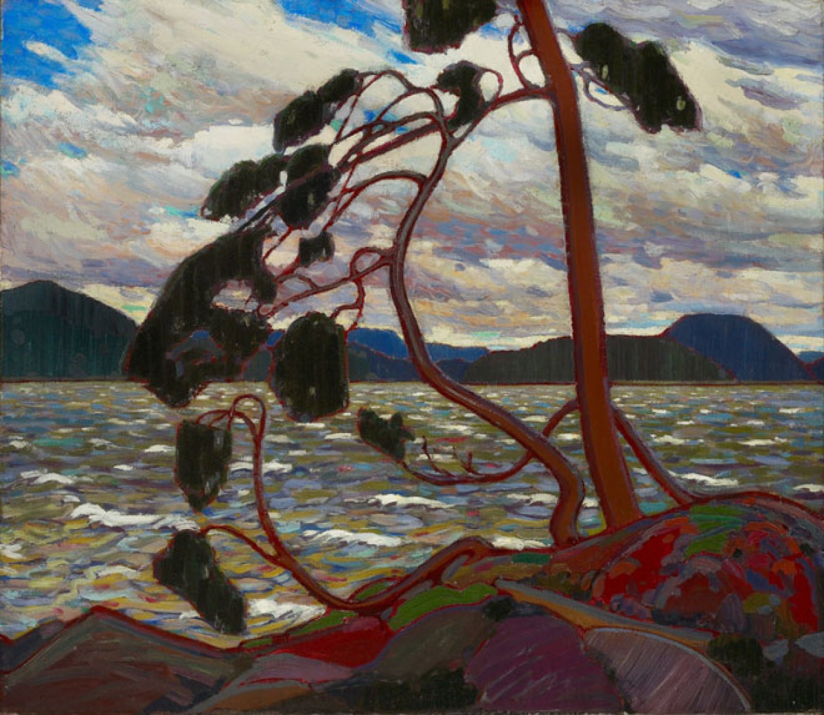 The West Wind The Vision Of Tom Thomson Art Gallery Of Ontario   Tom Thomson The West Wind 660 