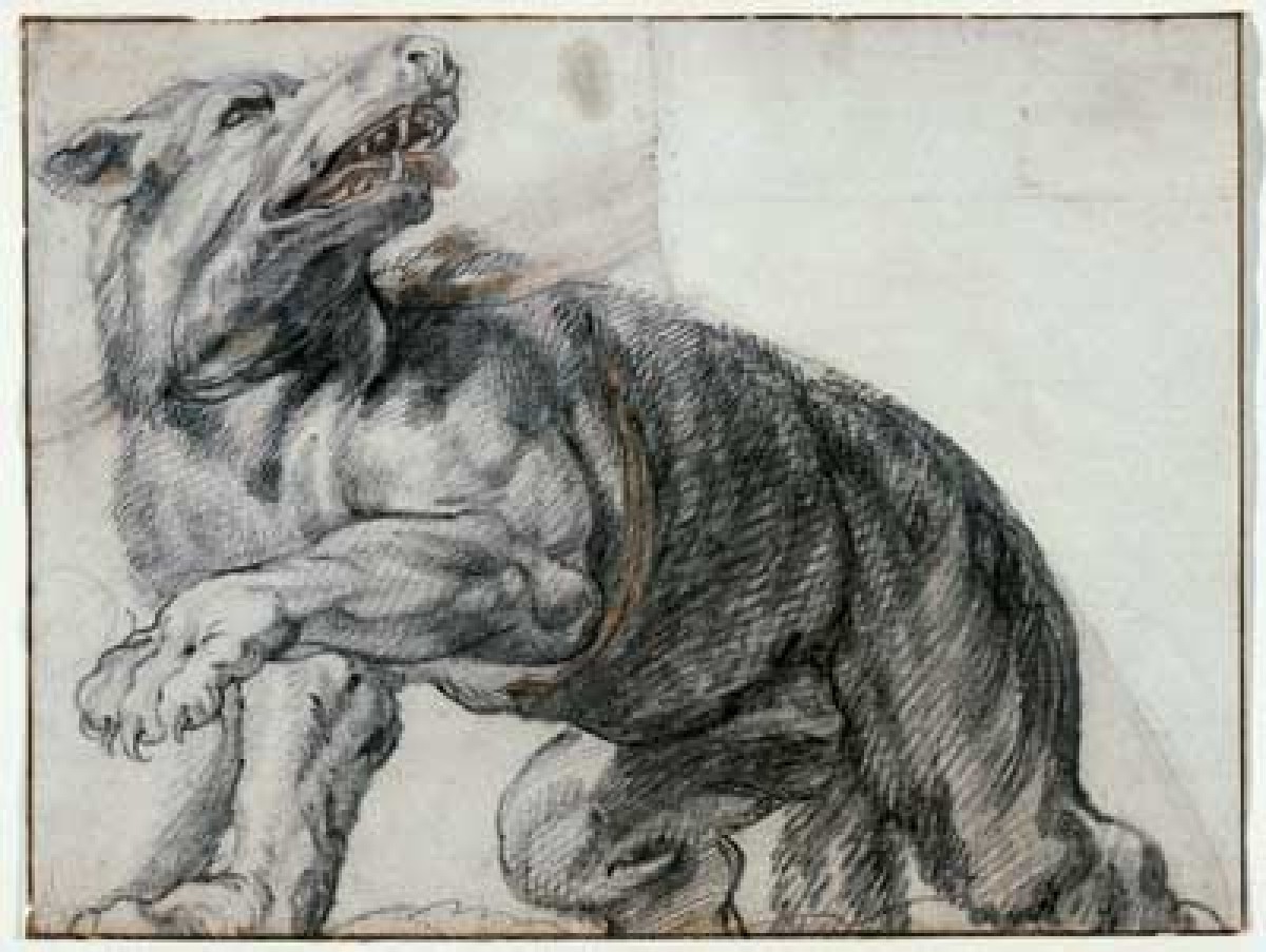 Frans Snyders (Flemish, 1579-1657) (attributed to)  "The Wolf" 