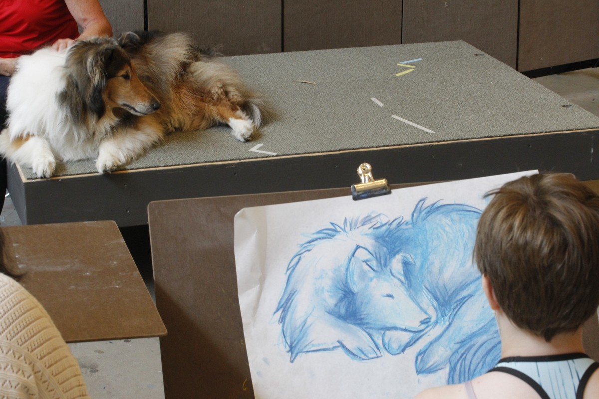 A Collie lies on a platform in front of an art student who has drawn the dog on their easel in blue pastel.