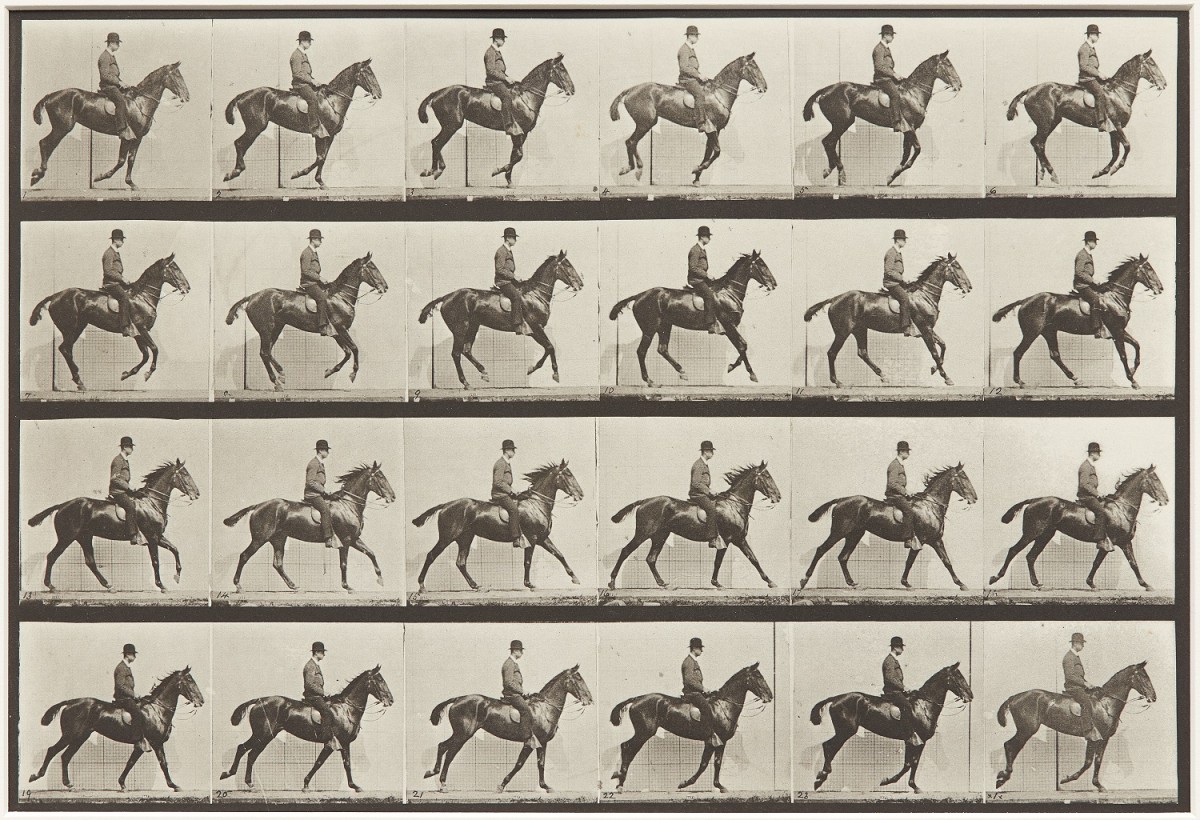 A series of photos of horses in motion