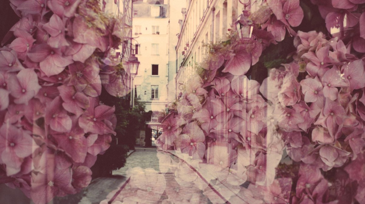 A photo of flowers overlaid on a photo of a city street