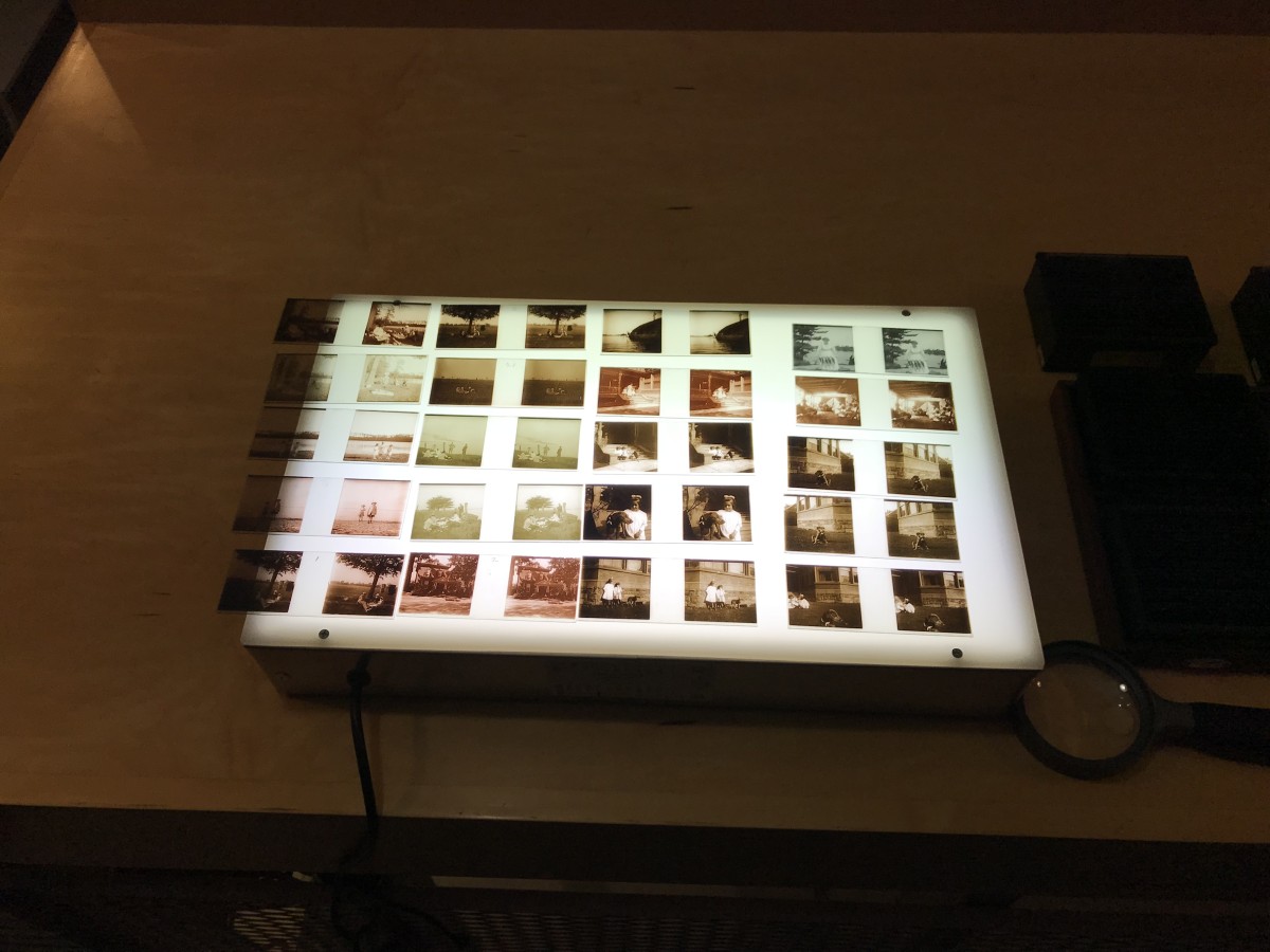 A group of photos laid out on a light