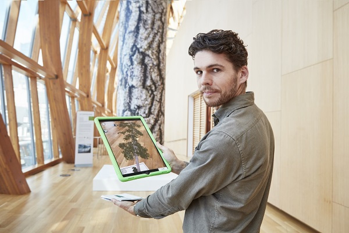 Man holding an iPad with an image of a tree on it