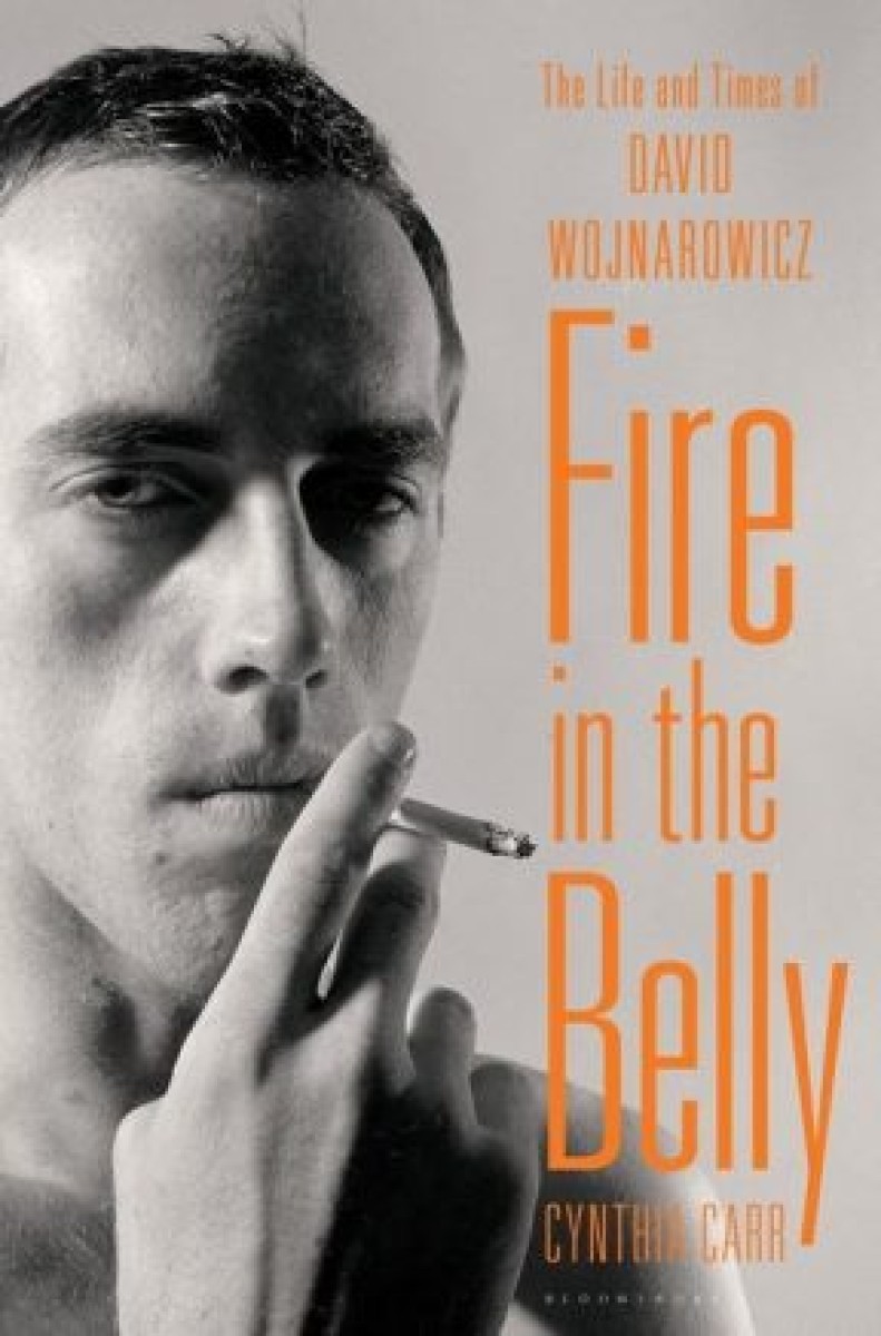 Fire in the belly book cover