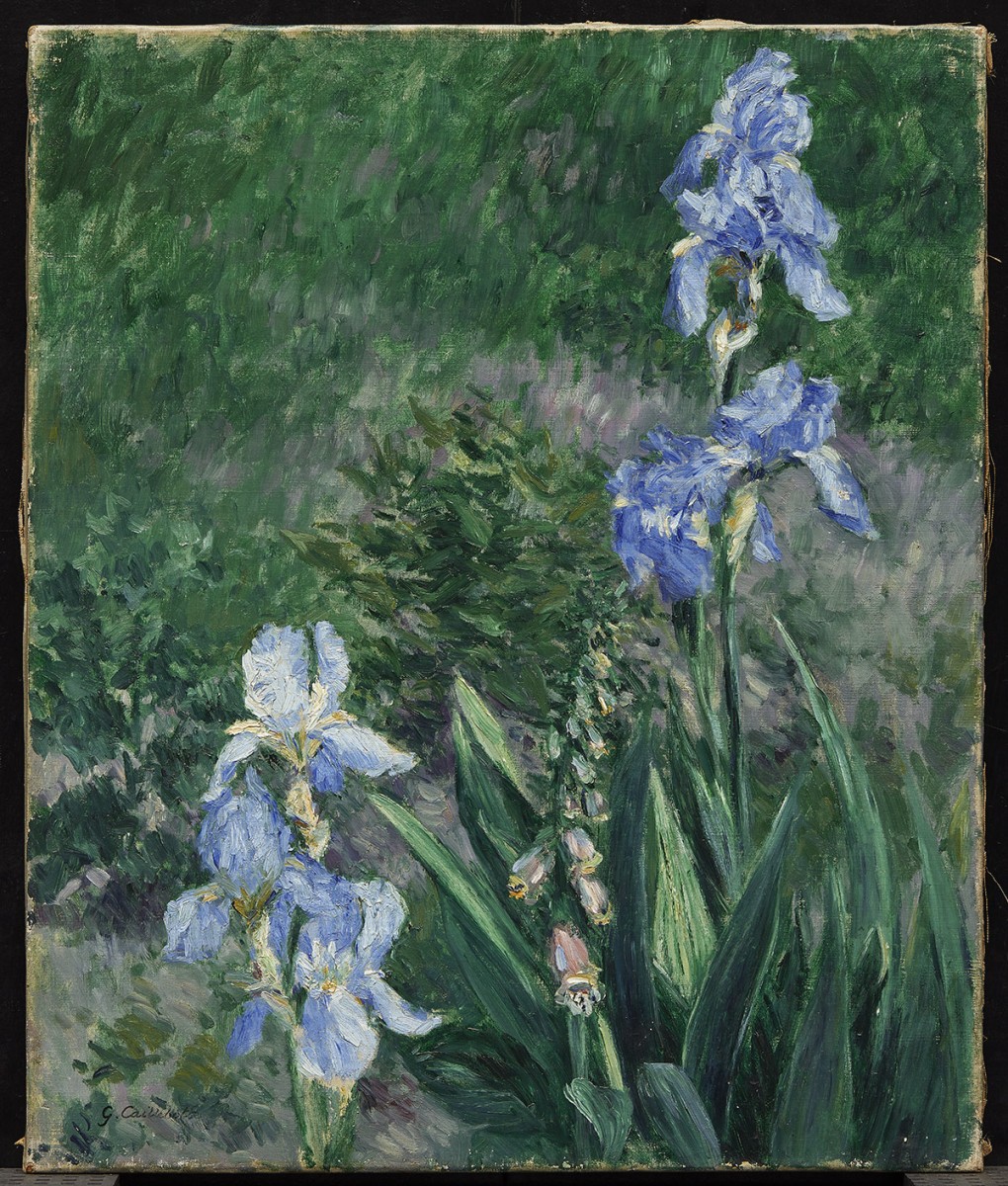 Gustave Caillebotte. Iris bleus, jardin du Petit Gennevilliers