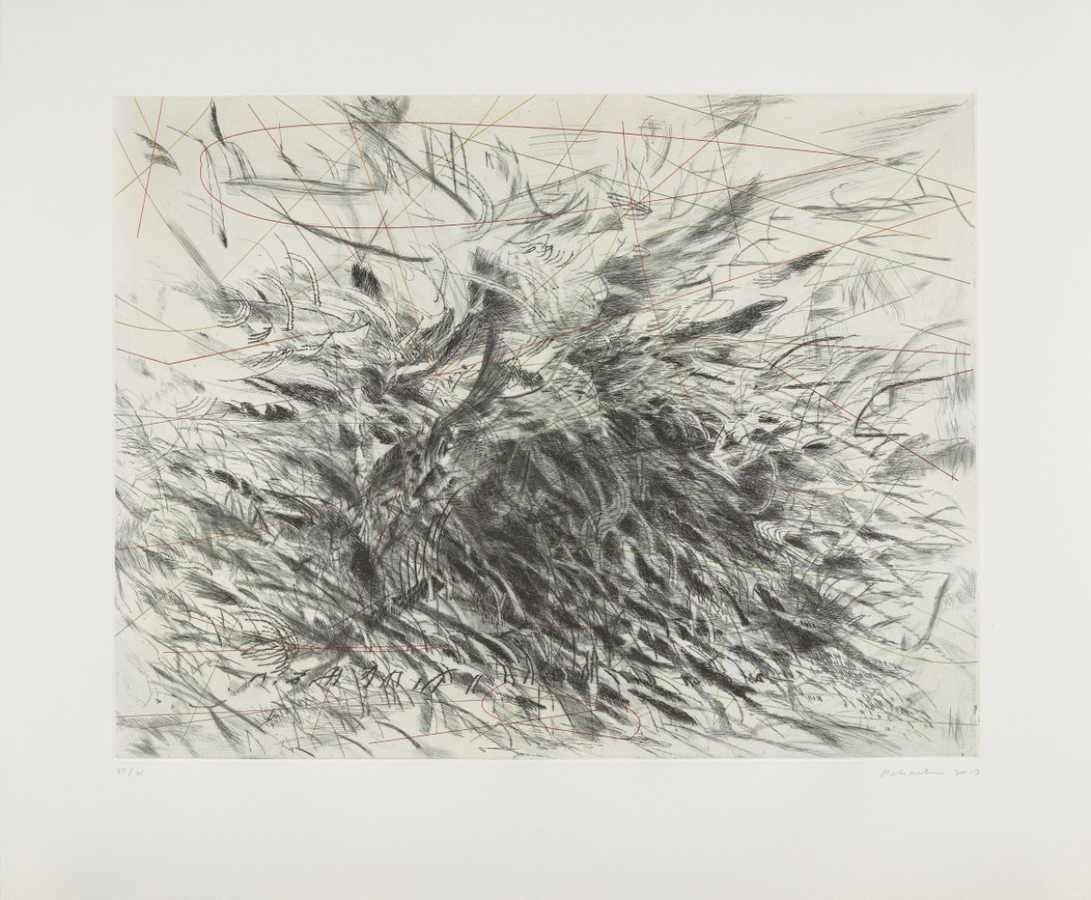 Migrations of Line: Julie Mehretu and Antoinette Bouzonnet-Stella