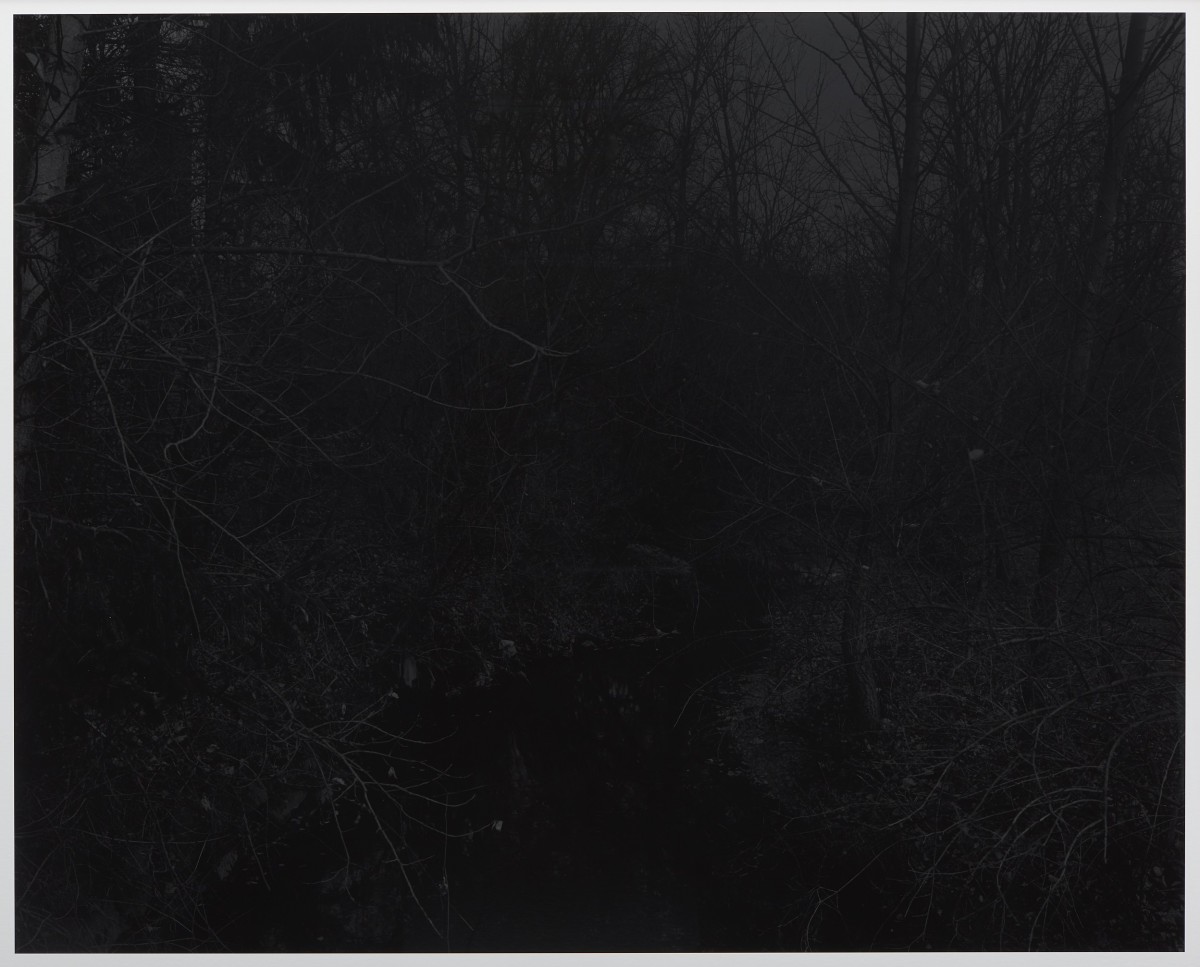 Dawoud Bey, Untitled #19 (Creek and Trees)