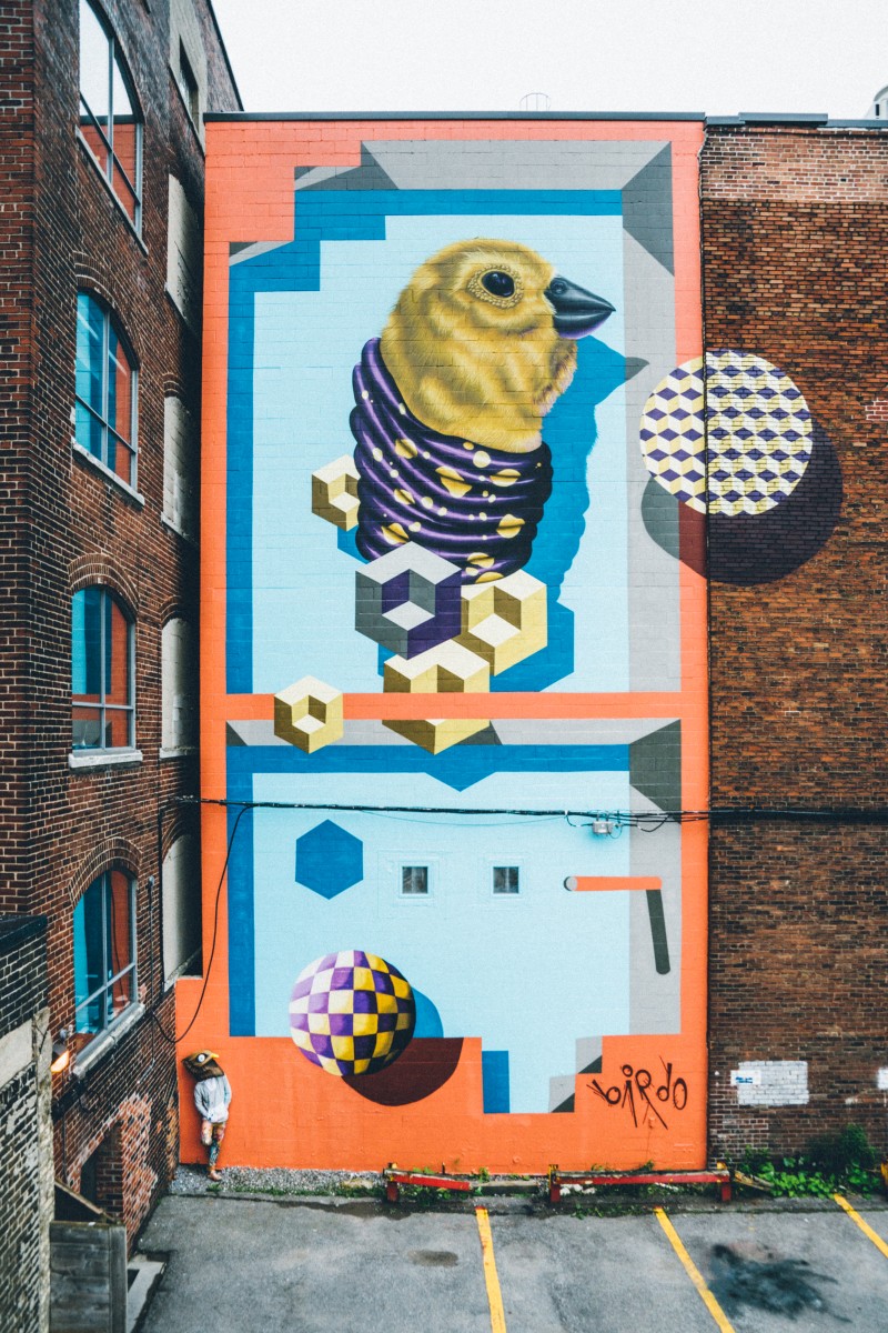 birdo mural 1 