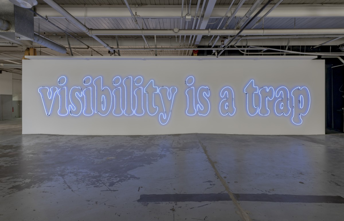 Laurent Grasso, Visibility is a Trap