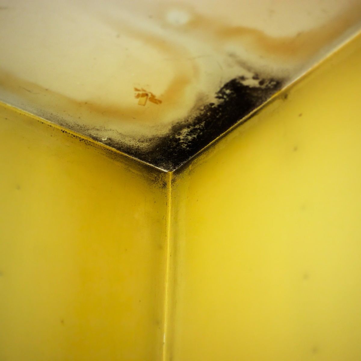 black mold in corner of room painted yellow, Archival pigment print on cotton fibre paper by Greg Staats