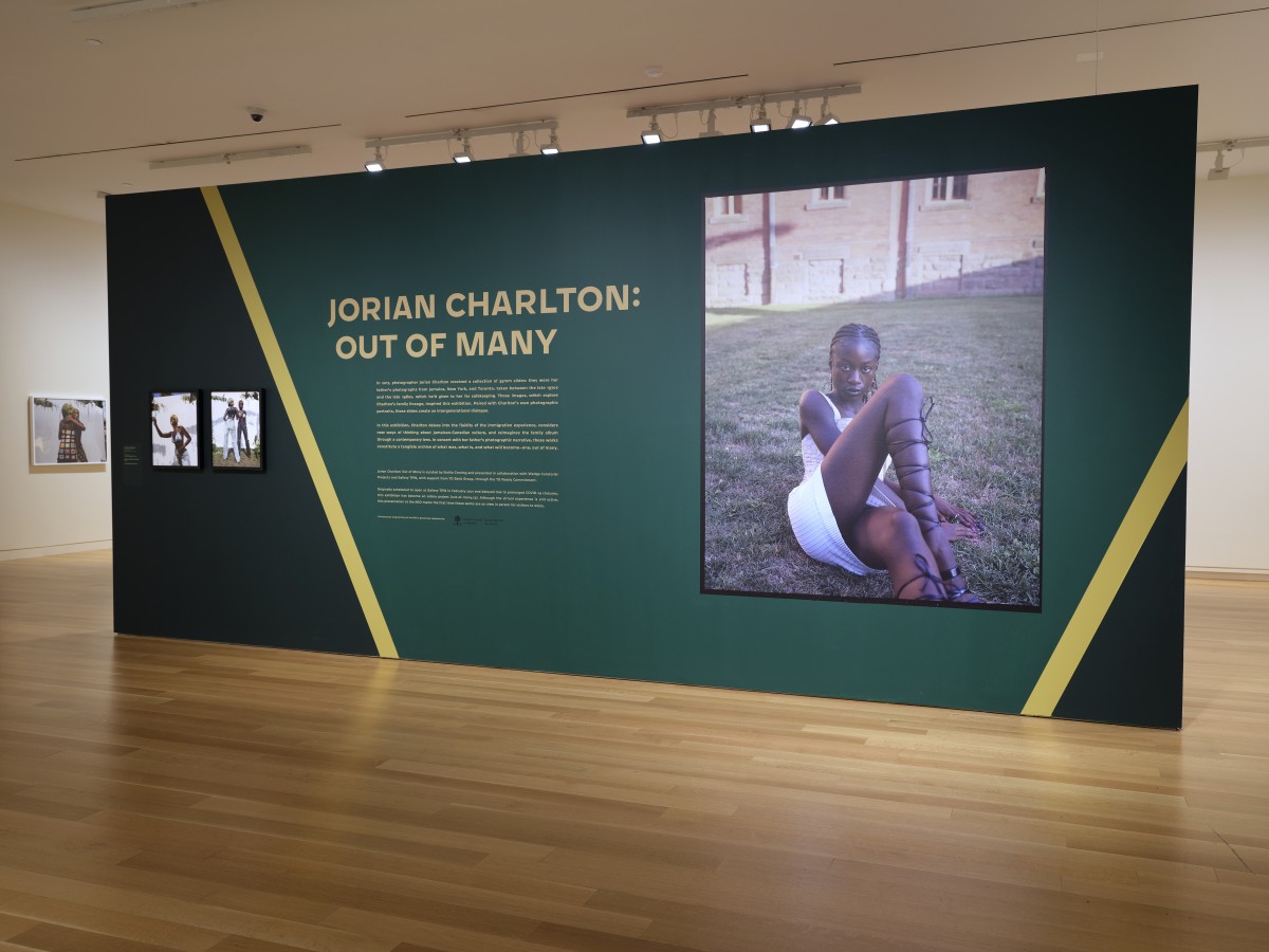 Installation view, Jorian Charlton: Out of Many 1