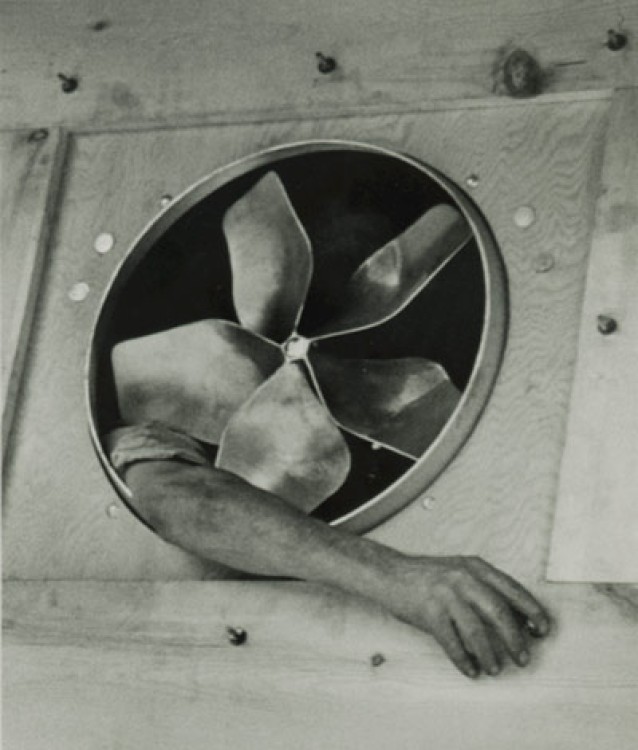 To Look Again: André Kertész | Art Gallery of Ontario