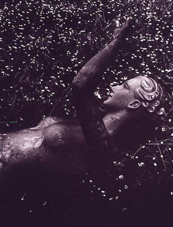 Josef Sudek | Art Gallery of Ontario