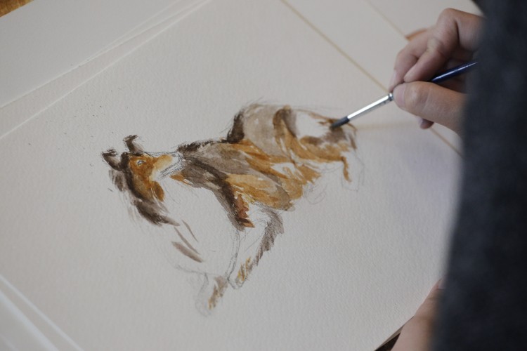 Watercolour of a dog