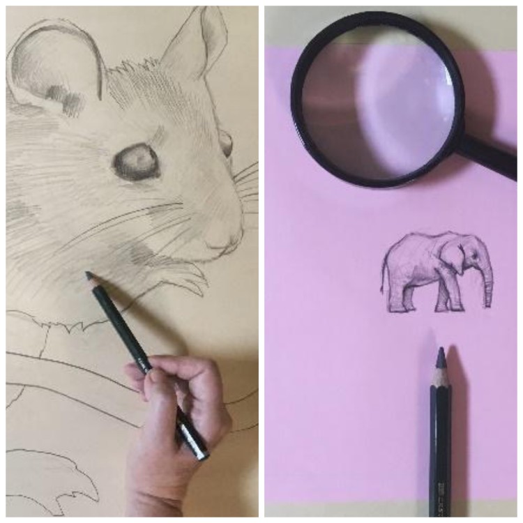 drawing of mouse on the left and elephant on the right