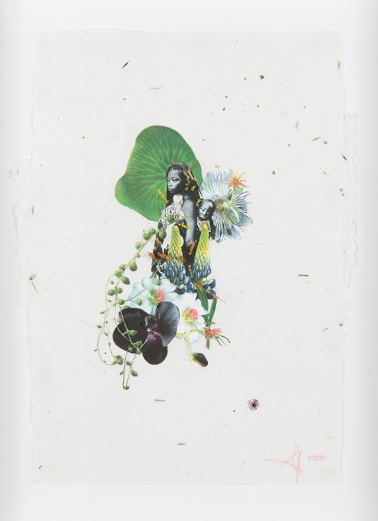 Andrea Chung. Colostrum V