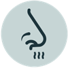 icon of nose sniffing scent