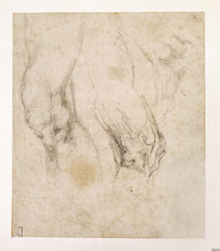 Michelangelo Buonarotti Italian, 1475-1564 c.1550