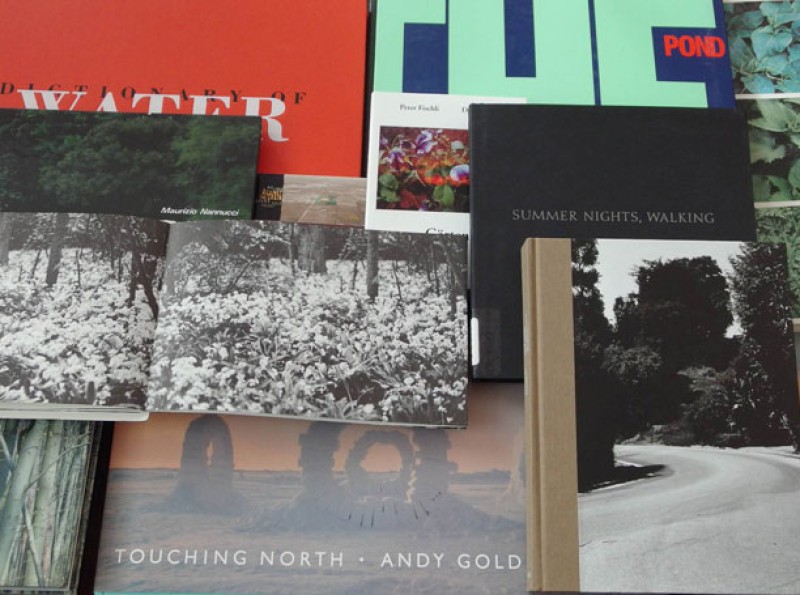 Artists' books from the collection of the Edward P. Taylor Library & Archives