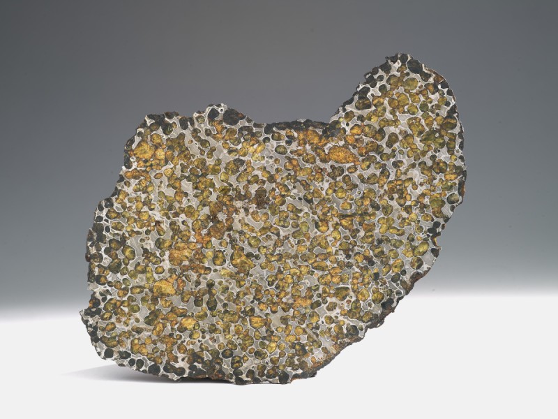Springwater Pallasite (stony-iron) meteorite fragment