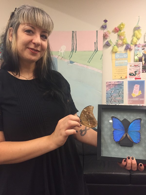 person holding a mounted, framed butterfly