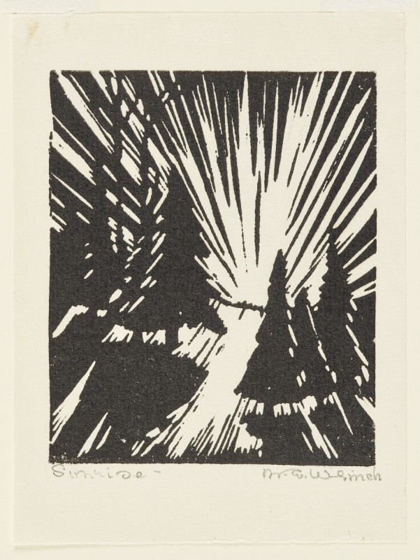A block print by Mary E. Wrinch consisting of black and white ink on paper. A series of four trees cast shadows on the ground as beams of light shoot from the middle of the frame.