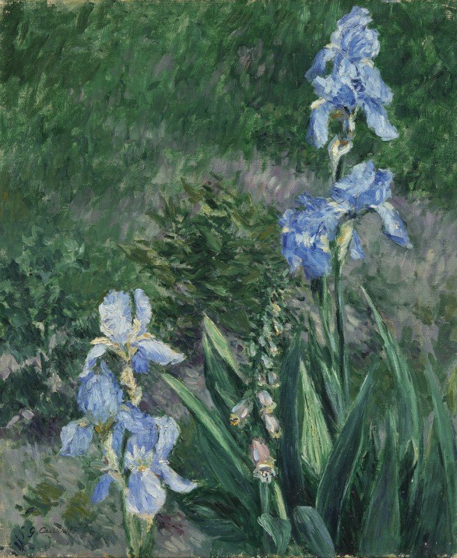 Gustave Caillebotte, Blue Irises, Garden at Petit Gennevilliers