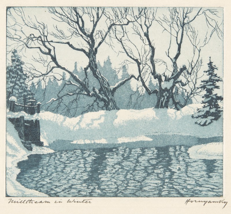 Image of frozen stream in winter, with bare branched trees, and pine trees. 