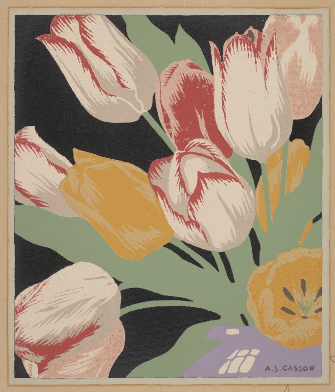 Painted colourful tulips with a black background