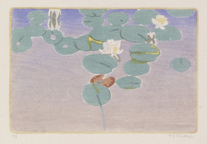 Soft green lily pads floating atop a lilac coloured body of water. A few white lilies peek out from beneath the dense group of lily pads. 