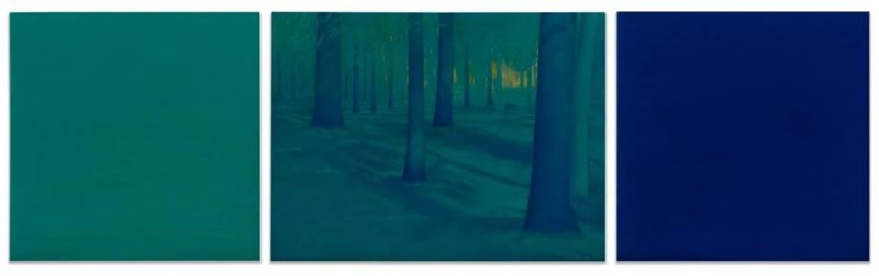 Robert Houle. The Pines, 2002-2004 thre panels, flaking right is turqoise and flanking left is indigo blue. in the middle both colours are used to depict a forest floor