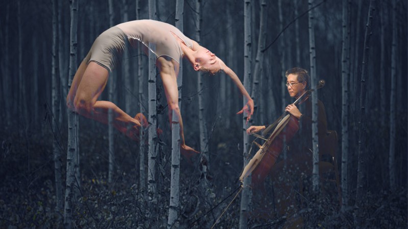Image of a dancer and cellist, with a faint birch tree forest in the background