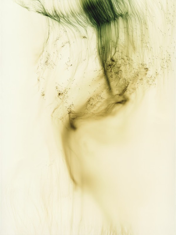 An artwork by Wolfgang Tillmans depicting a dark smokey texture on an off-white background. There are tones of greens, blacks, greys and yellows in the smoke. 