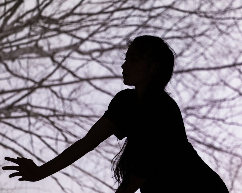 A silhouette of a woman in front of thin, bare tree branches