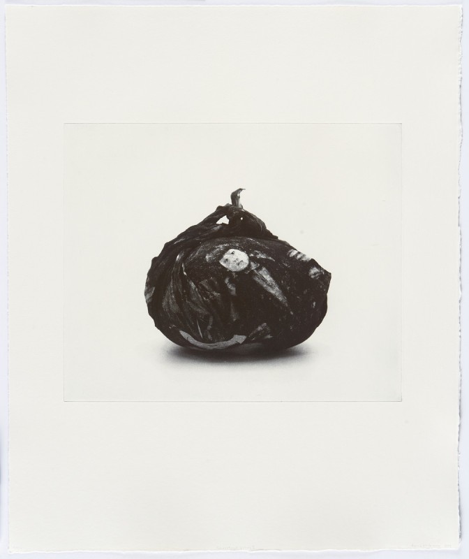 Image of a print by an artist